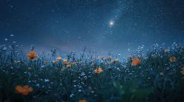 Lyric Under the Stars!