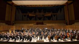 The Royal Philharmonic Orchestra