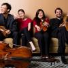 Zora String Quartet