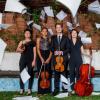 Argus Quartet