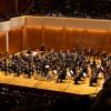 The Chicago Symphony Orchestra