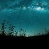 Lyric Under the Stars