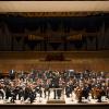 The Royal Philharmonic Orchestra